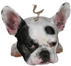 ギャラリーテン 看板犬のフル